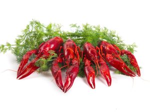 Whole Crayfish in dill sauce