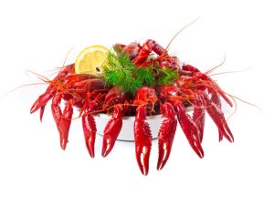 Whole Crayfish in dill sauce